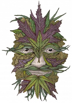 Greenman