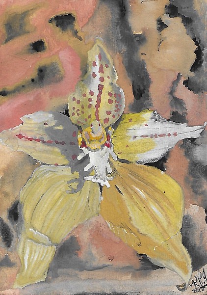 Cowslip
