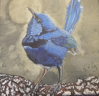 Blue wren