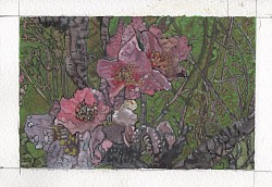 Peach Blossom