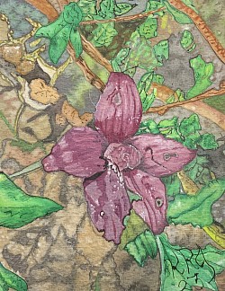 Purple Enamel Orchid