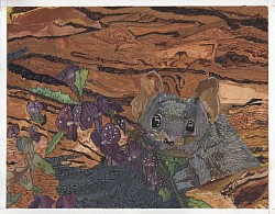 Mardo and Hovea