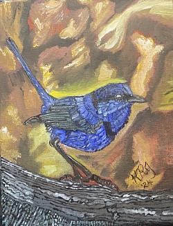 Acrylic Blue Wren