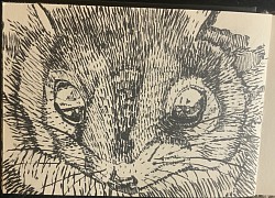 Mardo in Ink